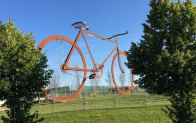 Cyklisto, sesedni z kola!