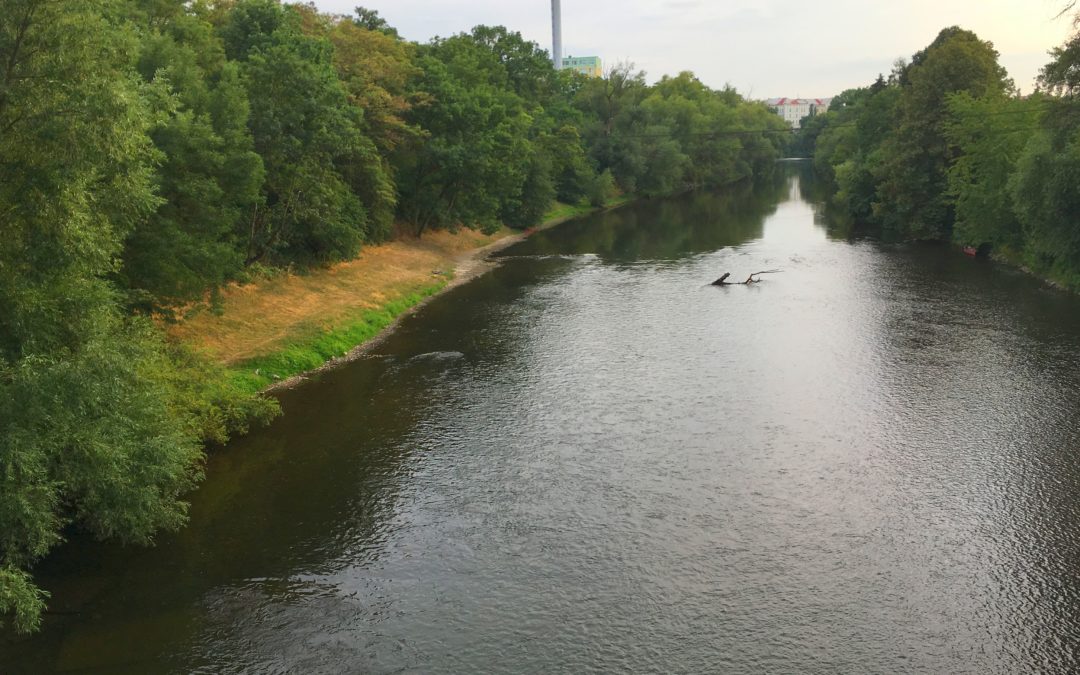 Špeky ze zastupitelstva 16.9.2019