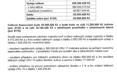 Poslední zastupitelstvo 2020